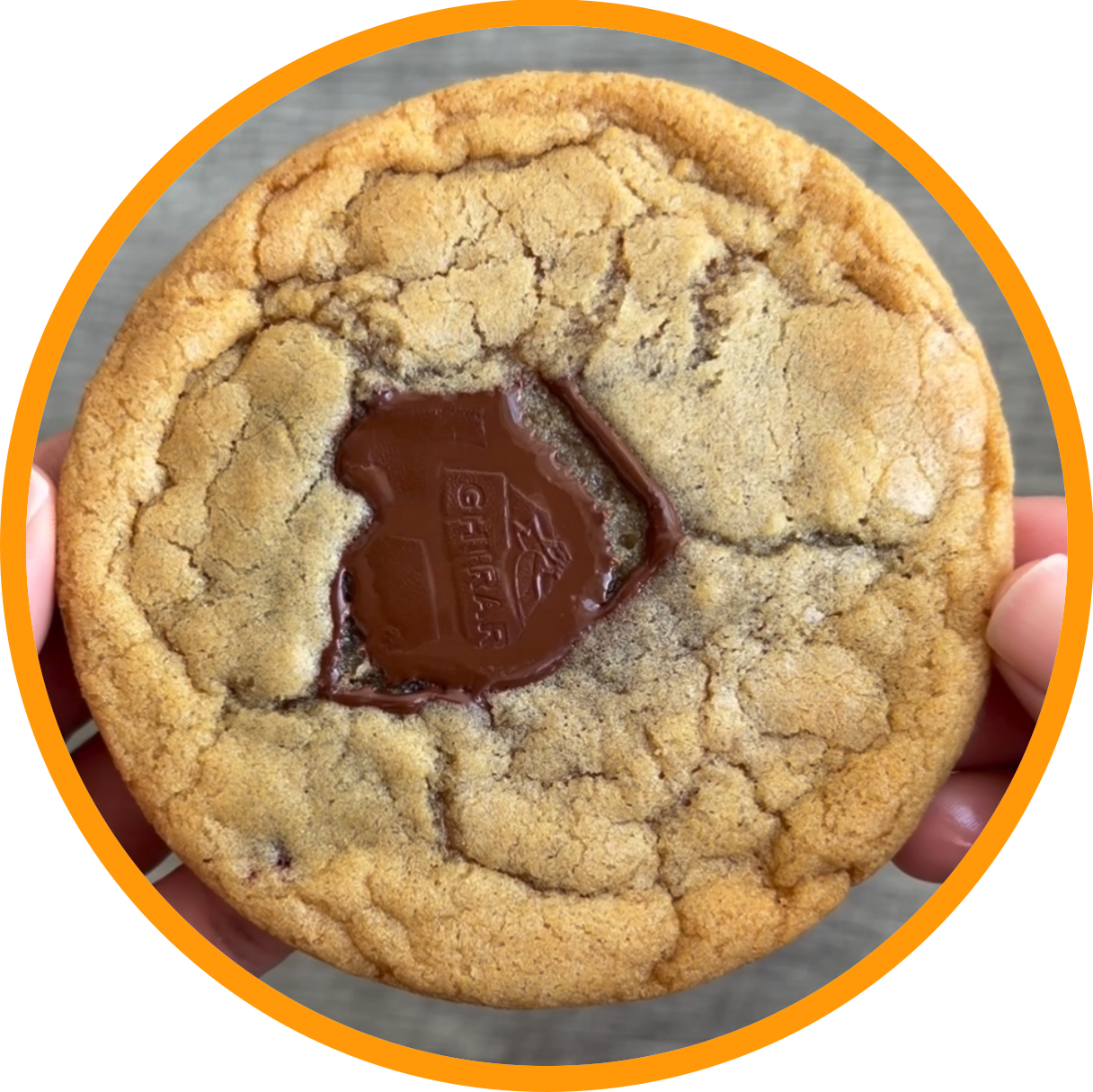 Large The Chocolate Chip Cookies